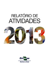 Thumbnail de Relatório de atividades 2013.