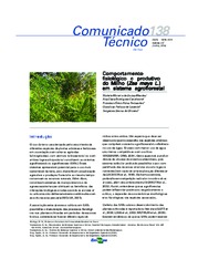 Thumbnail de Comportamento fisiológico e produtivo do milho (Zea mays L.) em sistema agroflorestal.