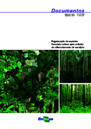 Thumbnail de Regeneração de espécies florestais nativas após colheita de reflorestamento de eucalipto.