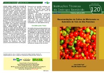 Thumbnail de Recomendações de cultivo de minitomate no Submédio do Vale do São Francisco.
