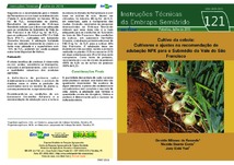 Thumbnail de Cultivo da cebola: cultivares e ajustes na recomendação de adubação NPK para o Submédio do Vale do São Francisco .