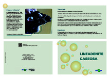 Thumbnail de LINFADENITE caseosa.