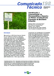 Thumbnail de Identificação e caracterização de microssatélites e desenho de Primers de sequências expressas de Brachiaria brizantha.