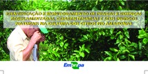 Thumbnail de Identificação e monitoramento de pragas e doenças regulamentadas, quarentenárias e seus inimigos naturais na cultura dos citros no Amazonas.