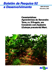 Thumbnail de Características agronômicas de bananeira Terra, cv. D'Angola, em consórcio com açaizeiro (Euterpe precatoria Mart.).