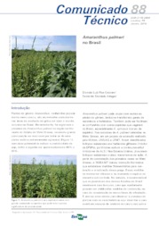 Thumbnail de Amaranthus palmeri no Brasil.