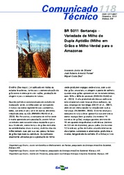 Thumbnail de BR 5011 Sertanejo - variedade de milho de dupla aptidão (milho em grãos e milho-verde) para o Amazonas.