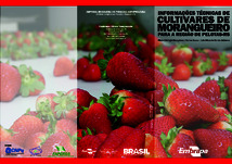 Thumbnail de Informações técnicas de cultivares de morangueiro para a região de Pelotas - RS.