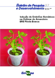 Thumbnail de Indução de embriões somáticos na cultivar de amendoim BRS Pérola Branca.