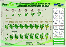 Thumbnail de Estádios fenológicos e marcha de absorção de nutrientes da soja.