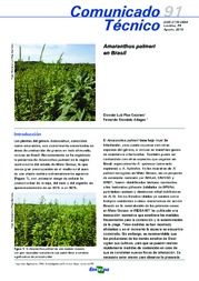 Thumbnail de Amaranthus palmeri en Brasil.