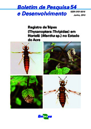 Thumbnail de Registro de Tripes (Thysanoptera: Thripidae) em hortelã (Mentha sp.) no Estado do Acre.