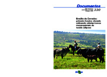 Thumbnail de Brasília da Cerrados: primeiro bovino clonado utilizando células-tronco mesenquimais do tecido adiposo.