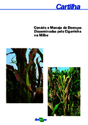 Thumbnail de Cenário e manejo de doenças disseminadas pela cigarrinha no milho.