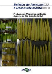 Thumbnail de Produção de minimilho na região sudeste do Rio Grande do Sul.