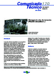 Thumbnail de Clonagem in vitro de tamareira (Phoenix dactylifera L.).