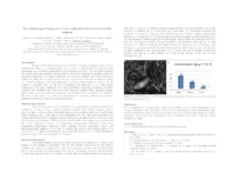 Thumbnail de Dry reforming of biogas over mixed oxides derived from hydrotalcite catalysts.