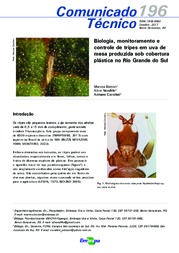 Thumbnail de Biologia, monitoramento e controle de tripes em uva de mesa produzida sob cobertura plástica no Rio Grande do Sul.