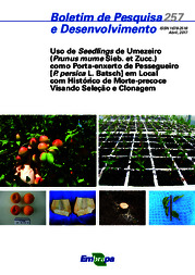 Thumbnail de Uso de seedlings de umezeiro (Prunus mume Sieb. et Zucc.) como porta-enxerto de pessegueiro [P. persica L. Batsch] em local com histórico de morte-precoce visando seleção e clonagem.