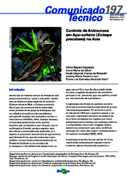 Thumbnail de Controle de antracnose em açaí-solteiro (Euterpe precatoria) no Acre.