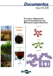 Thumbnail de Processo Organosolv para fracionamento de biomassa lignocelulósica.