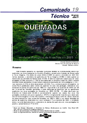 Thumbnail de Queimadas em áreas protegidas da Amazônia em 2005.
