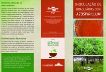 Thumbnail de Inoculação de braquiárias com Azospirillum.