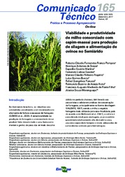 Thumbnail de Viabilidade e produtividade de milho consorciado com capim-massai para produção de silagem e alimentação de ovinos no Semiárido.