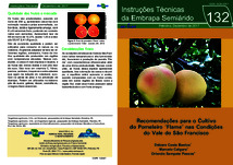 Thumbnail de Recomendações para o cultivo do pomeleiro Flame nas condições do Vale do São Francisco.
