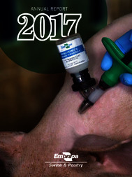 Thumbnail de Annual Report 2017.