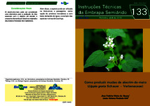 Thumbnail de Como produzir mudas de alecrim-do-mato (Lippia grata Schauer Verbenaceae).