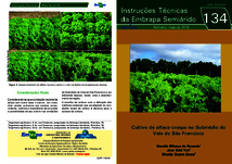 Thumbnail de Cultivo de alface-crespa no Submédio do Vale do São Francisco.