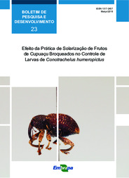 Thumbnail de Efeito da prática de solarização de frutos de cupuaçu broqueados no controle de larvas de Conotrachelus humeropictus.