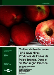 Thumbnail de Cultivar de nectarineira 'BRS SCS Nina': produtora de frutas de polpa branca, doce e de maturação precoce.