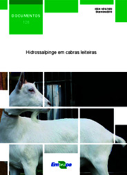 Thumbnail de Hidrossalpinge em cabras leiteiras.