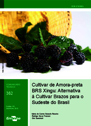 Thumbnail de Cultivar de Amora-preta BRS Xingu: Alternativa à Cultivar Brazos para o Sudeste do Brasil.