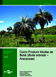 Thumbnail de Como Produzir Mudas de Butiá (Butia odorata - Arecaceae).