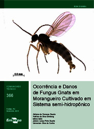 Thumbnail de Ocorrência e danos de Fungus Gnats em morangueiro cultivado em sistema semi-hidropônico.