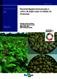 Thumbnail de Recomendações técnicas para o cultivo de feijão-caupi no Estado do Amazonas.