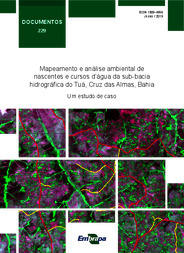 Thumbnail de Mapeamento e análise ambiental de nascentes e cursos d`água da sub-bacia hidrográfica do Tuá, Cruz das Almas, Bahia: um estudo de caso.