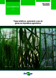 Thumbnail de Trigos sintéticos: explorando o uso de genes de importância agronômica.