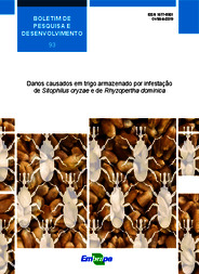 Thumbnail de Danos causados em trigo armazenado por infestação de Sitophilus oryzae e de Rhyzopertha dominica.