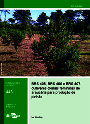 Thumbnail de BRS 405, BRS 406 e BRS 407: cultivares clonais femininas de araucária para produção de pinhão.