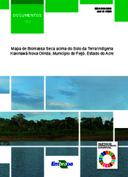 Thumbnail de Mapa de biomassa seca acima do solo da Terra Indígena Kaxinawá Nova Olinda, município de Feijó, estado do Acre.