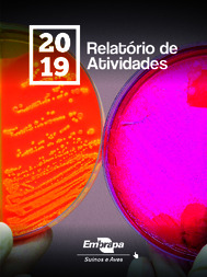 Thumbnail de Relatório de Atividades 2019.