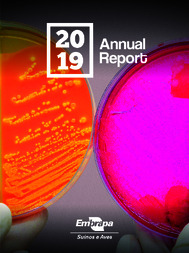 Thumbnail de Annual Report 2019.