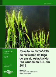 Thumbnail de Reação ao BYDV-PAV de cultivares de trigo do ensaio estadual do Rio Grande do Sul, em 2019.