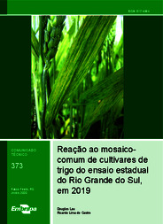 Thumbnail de Reação ao mosaico-comum de cultivares de trigo do ensaio estadual do Rio Grande do Sul, em 2019.