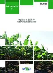 Thumbnail de Impactos da Covid-19 na bananicultura brasileira.