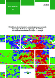 Thumbnail de Metodologia de análise do mosaico da paisagem aplicada à avaliação do risco de degradação de habitats nos Biomas Mata Atlântica, Pampa e Caatinga.